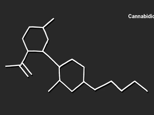 Can CBD Help in the Treatment of and Recovery from Opioid Use Disorder?