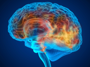 How Does Spirituality Change the Brain?