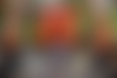 Kyoto - Osaka (Japan)