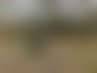 UFO was landed in Sweden.... 1946