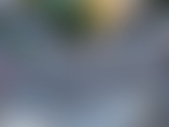 Shibuya from the Top