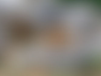 הרהור 2- מהי יוגה? מי יכול לתרגל יוגה ומה הם התנאים לתרגול יוגה?