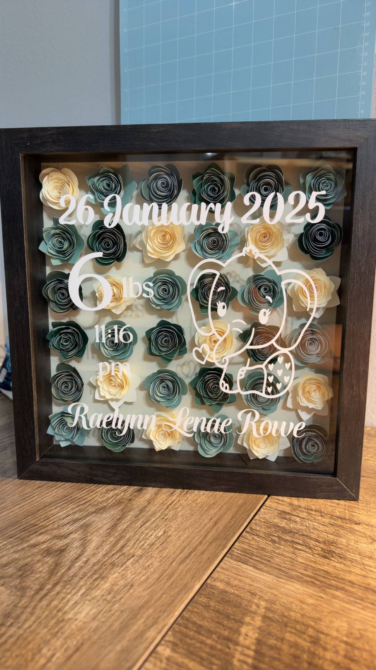 Baby Stat Shadow Box