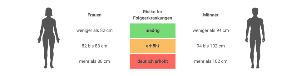 Bauchumfang.png