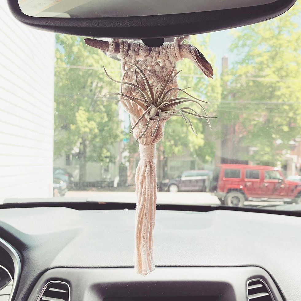 Thumbnail: Macrame Mini Air Plant Hanger by Rosie the Wanderer