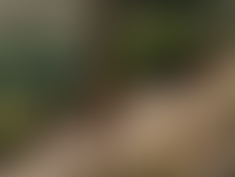 Couple running on mountain trail