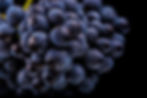 Grappe de raisin, merlot, Cabernet Franc