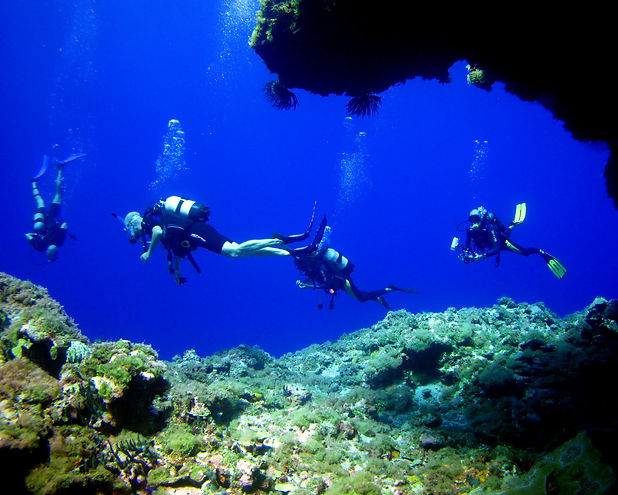 rescue diver.jpeg