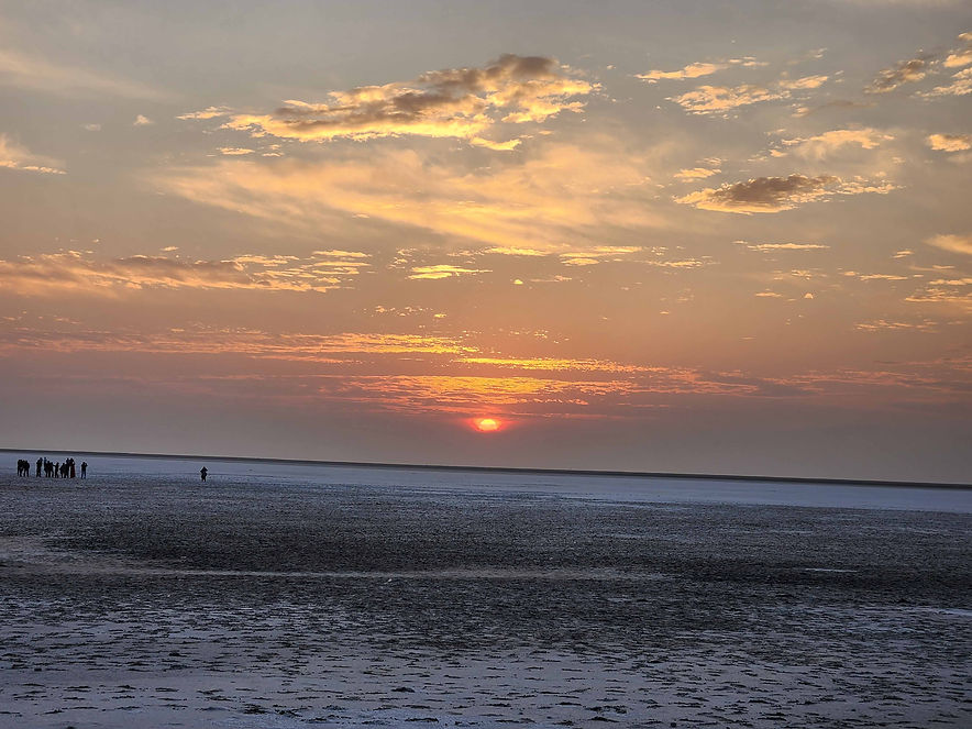Sunset _ Rann of Kutch - Gujarat.jpg