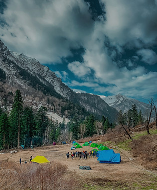 green and yellow tent near green trees a
