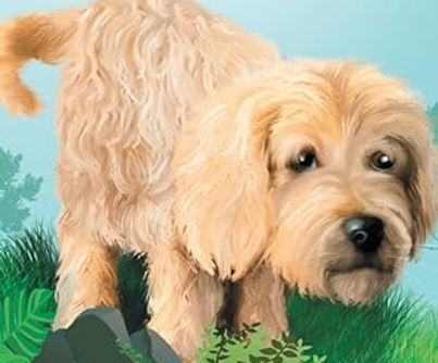 Shenleigh O'Doodle book 1.jpg