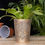 Thumbnail: Tree of Life Bronze Effect Terracotta Plant Pot - Lisa Parker