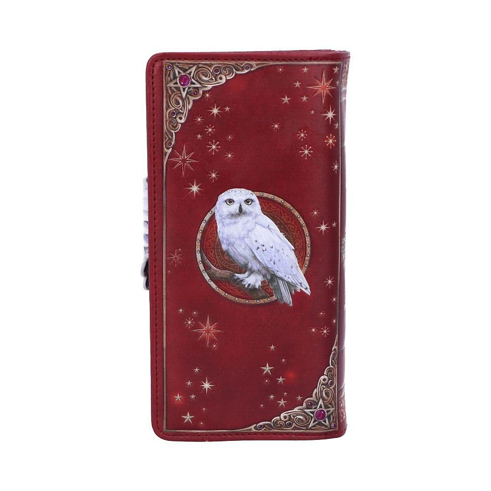 Thumbnail: Magical Flight Owl Embossed Purse - 18.5cm