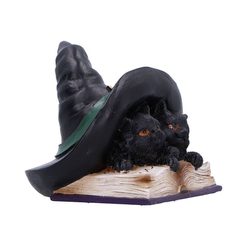 Thumbnail: Potion Pair Witches Cat Ornament