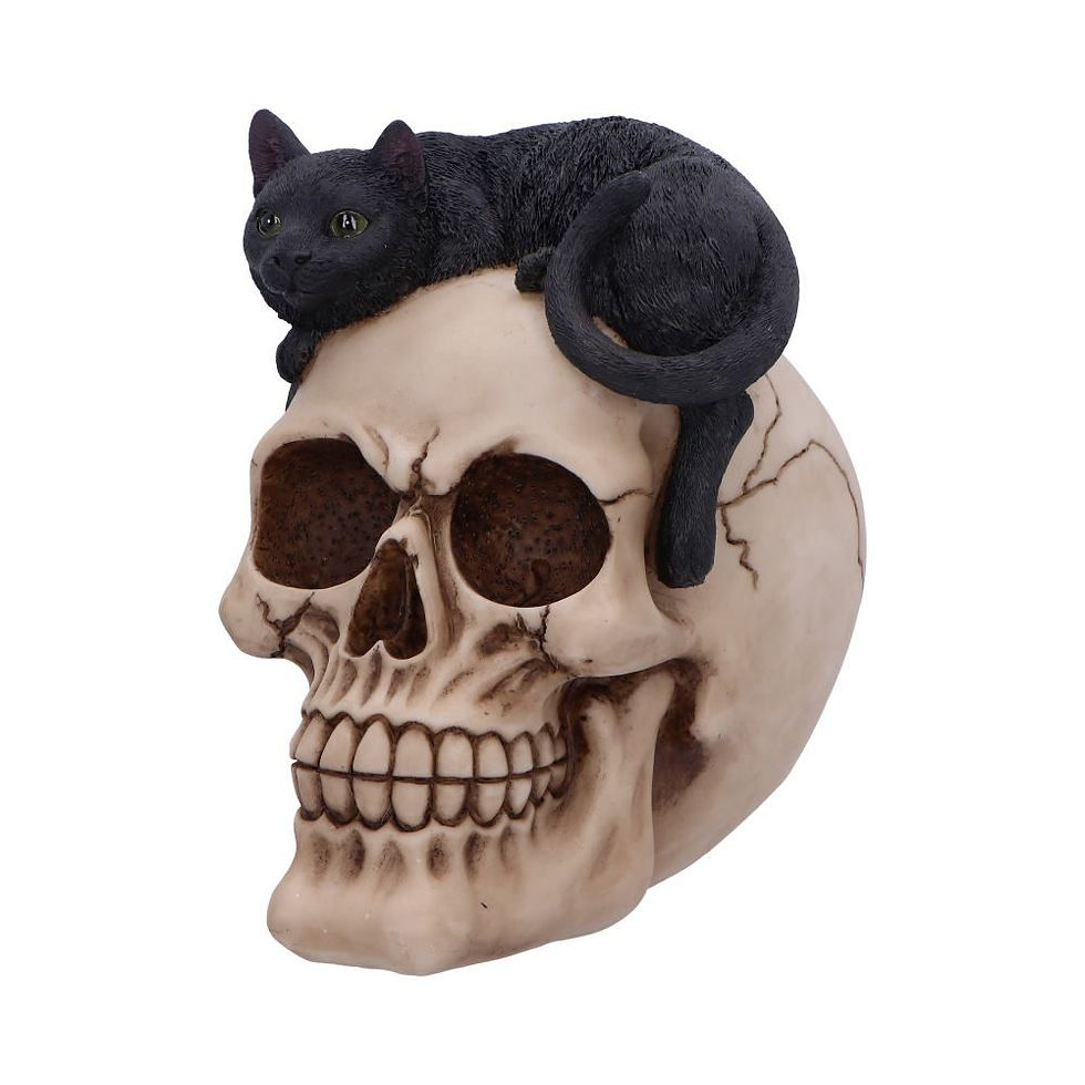 Thumbnail: Forever Friend Black Cat Skull Ornament - 14.5cm
