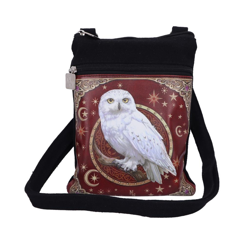 Magical Flight Owl Shoulder Bag - 23cm