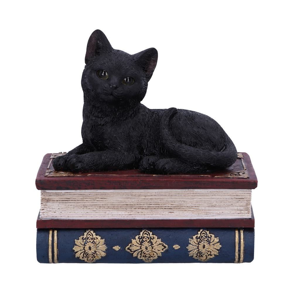 Salems Spells Black Cat and Spellbook Box - 11.7cm