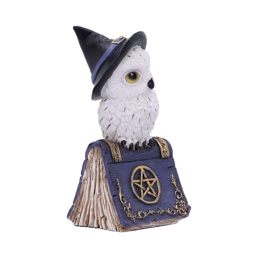 Thumbnail: Avian Owl Blue Spell Book Ornament - 12.5cm