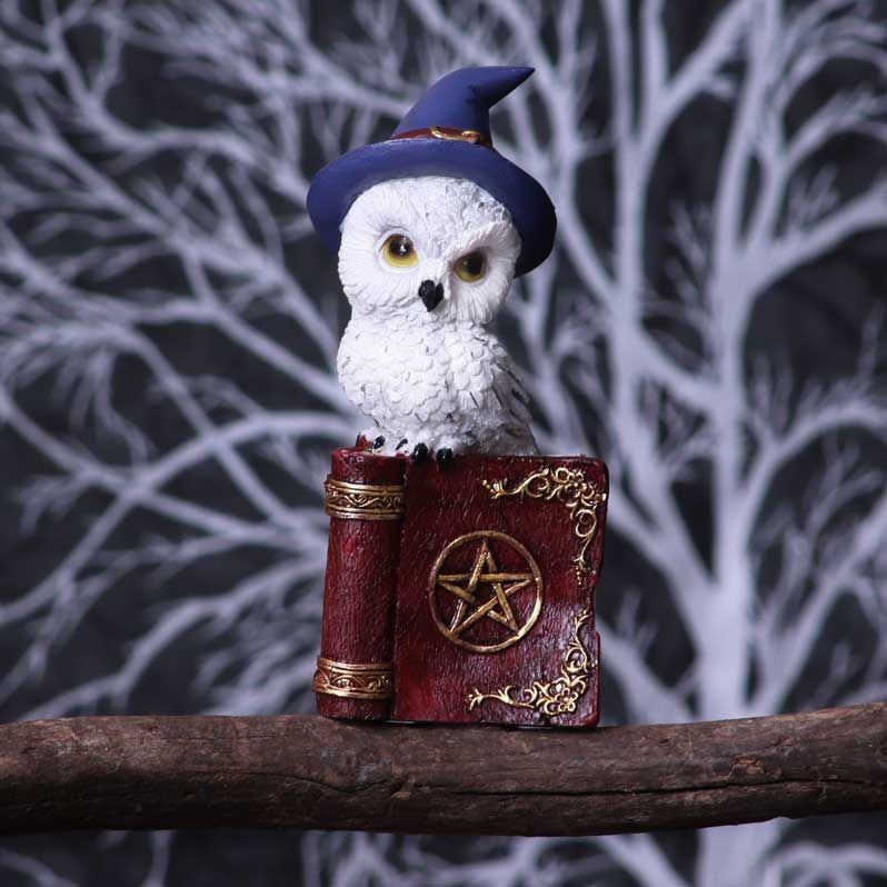 Thumbnail: Avian Owl Red Spell Book Ornament - 12.5cm