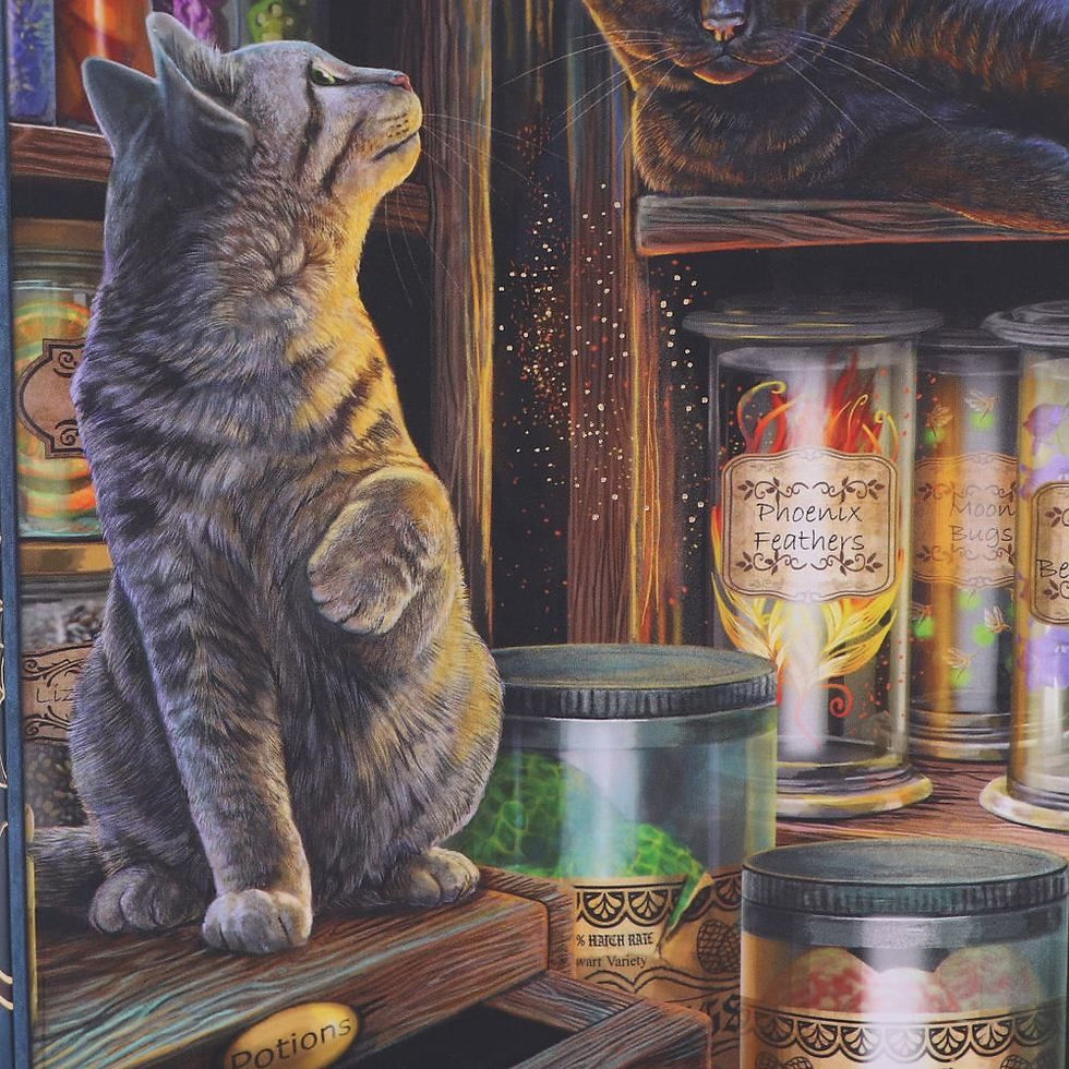 Thumbnail: Magical Emporium Cat A5 Journal - 17cm - Lisa Parker