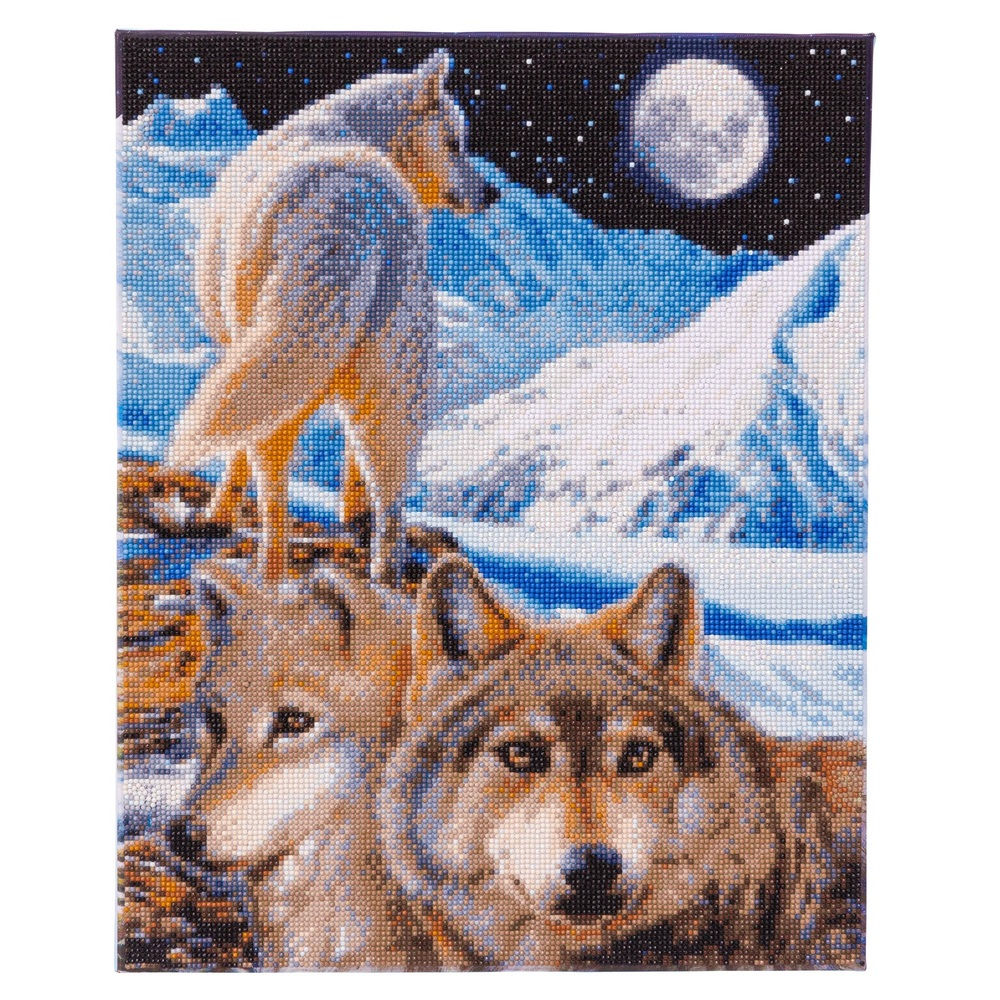 The Sentinel Crystal Art Kit