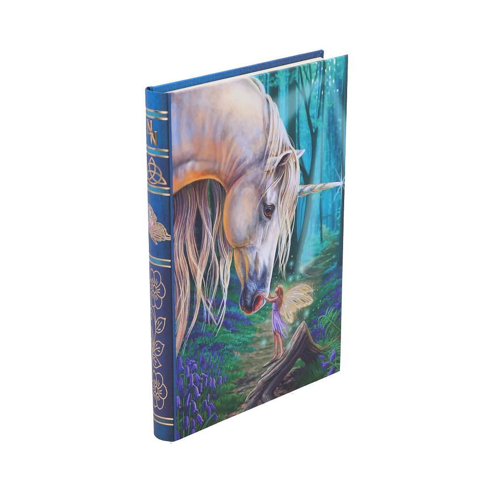Thumbnail: Fairy Whispers Fairy and Unicorn A5 Journal - 17cm - Lisa Parker
