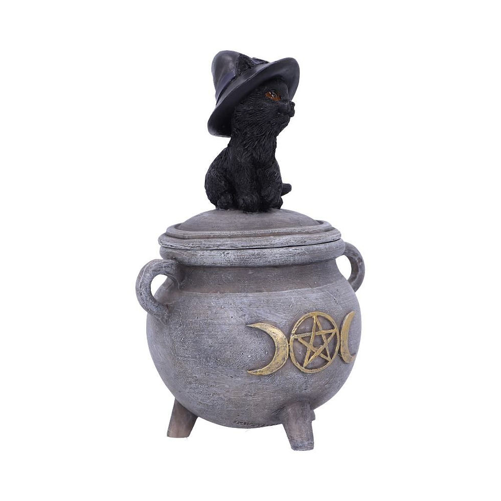Thumbnail: Kitty's Brew Witch's Cat Cauldron Box - 14cm