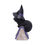 Thumbnail: Pocus Witches Familiar Black Cat and Spellbook Ornament - 12.7cm