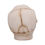 Thumbnail: Eyes Wide Open (Red) Decorative Skull Ornament - 7cm