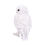Thumbnail: Snowy Watch Owl Ornament - 20cm