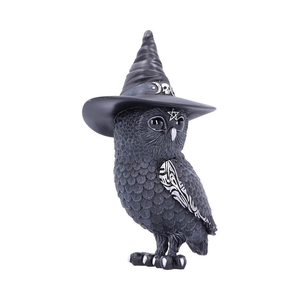 Thumbnail: Owlocen Witches Hat Occult Owl Ornament - 13.5cm