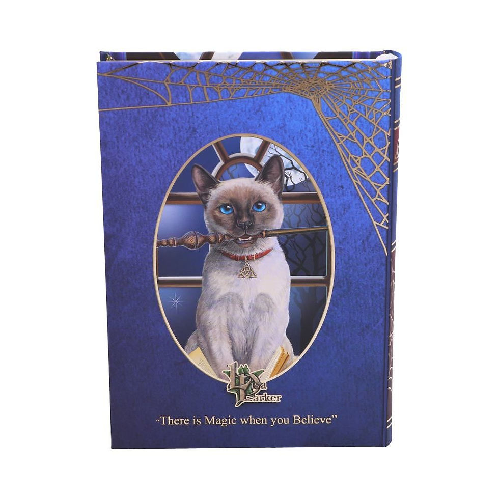 Thumbnail: Hocus Pocus Cat A5 Journal - 17cm - Lisa Parker
