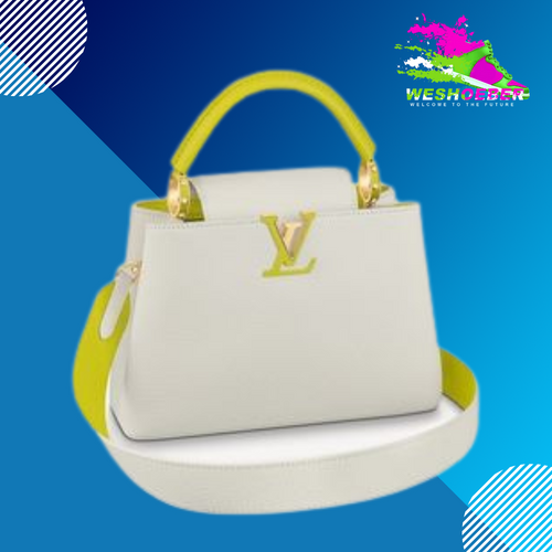 Louis Vuitton White Handbag LV Ladies Handbag We Shober