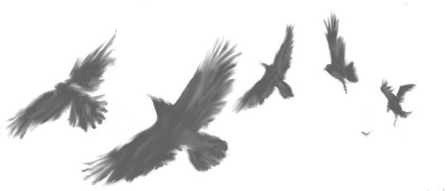 black_bird_by_lsd_forthemasses-d41r5pa_edited_edited.png