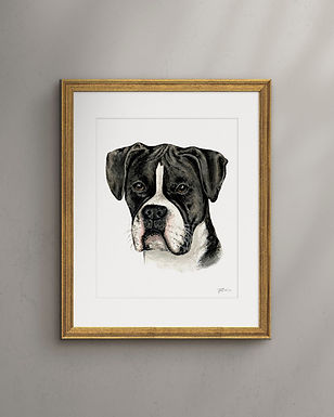 SBPD Pet Commission