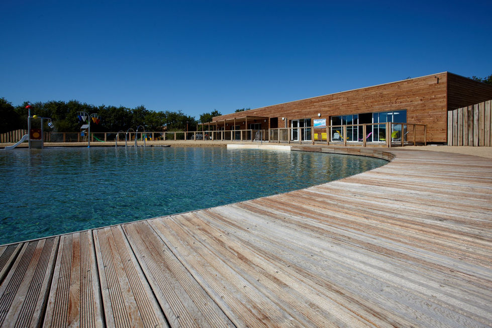 50959541_1490589447743361_2326921484636782592_n