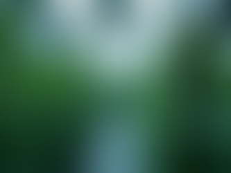 Navigating TGA Compliance for Medicinal Cannabis Success