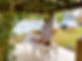 652e3db9-2853-472d-a4a8-70a70ed5bc17.JPG