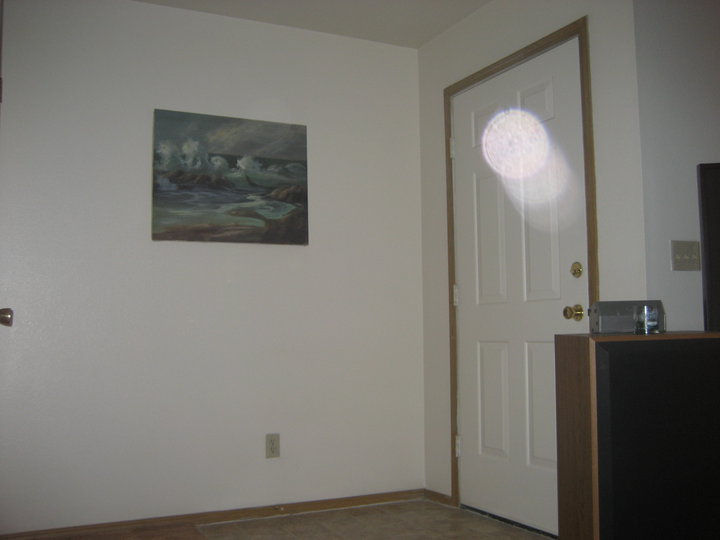 I had just moved to my apartment when i