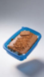 קשטוטה לוטוס