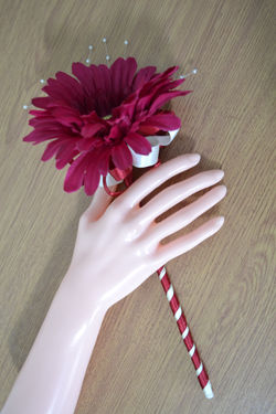 Gerbera Wand - £8.95