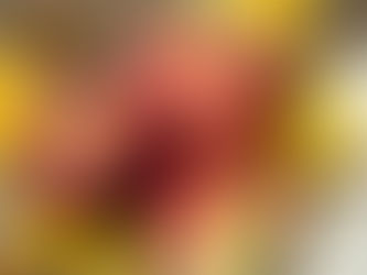 5 Biggest Mistakes I Made in the Kitchen (so you don’t have to)