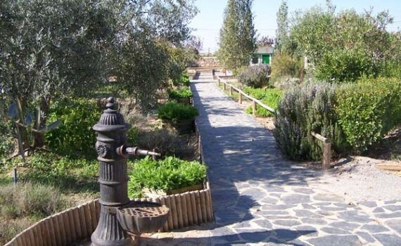 Acceso al Aula de la Naturaleza El Pocito en El Viso, Córdoba