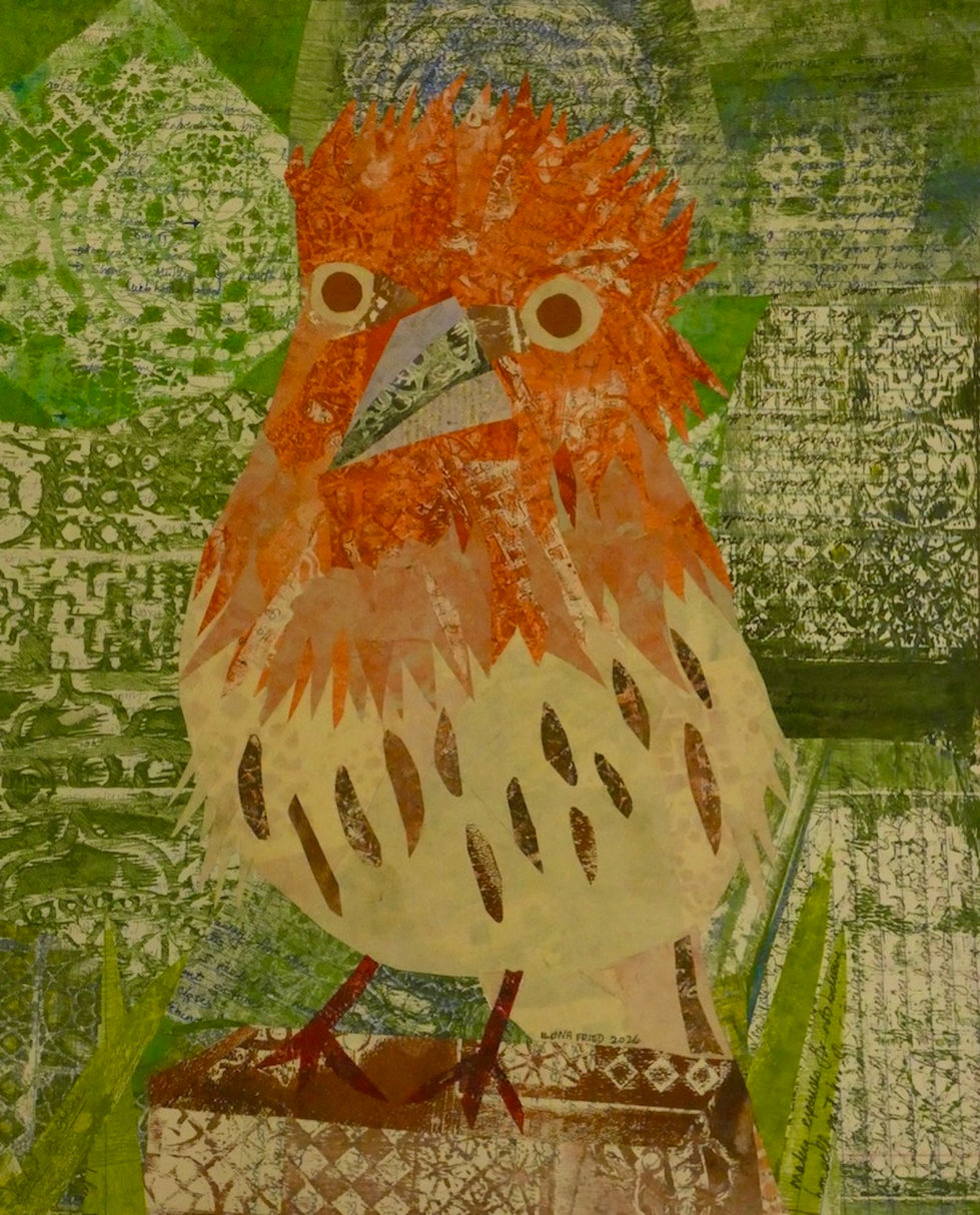 Friendly Finch