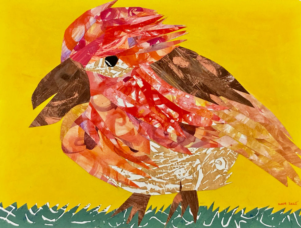 Funky Finch