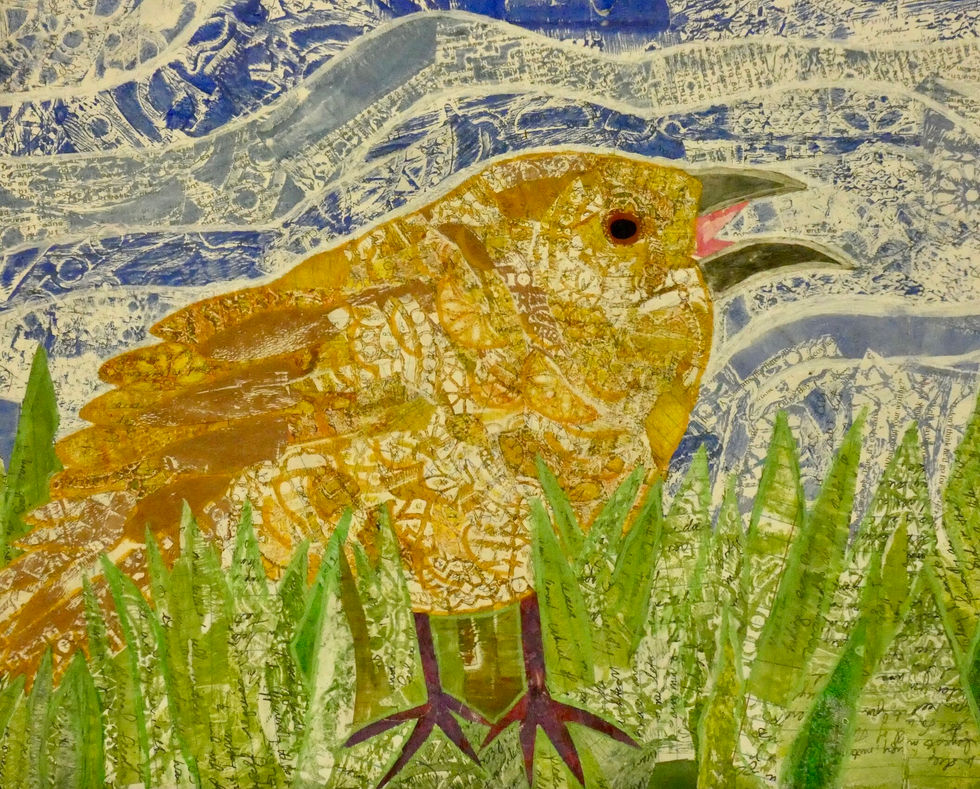 Crying Cowbird