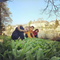Ferme maraichère urbaine et bio - Cueillette - Montargis