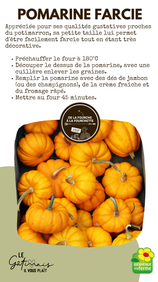 Fiche recette pomarine farcie