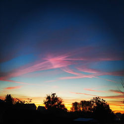 Ferme maraichère urbaine et bio - Cueillette - Montargis