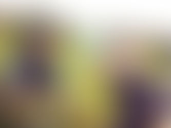 Sapin de Noël bio : La magie des fêtes à la ferme !